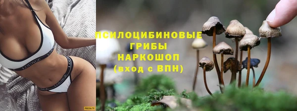 прущая мука Абаза