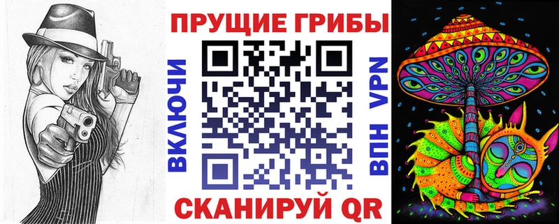 KRAKEN   Новое Девяткино  Псилоцибиновые грибы мицелий  площадка клад  закладки 