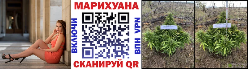 Шишки марихуана SATIVA & INDICA  купить   Новое Девяткино 